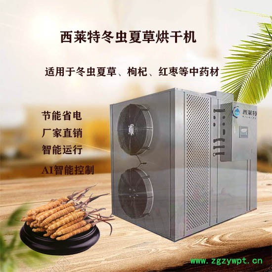 西莱特XLT-145YT  甘肃冬虫夏草烘干机工艺 冬虫夏草干燥设备**图4