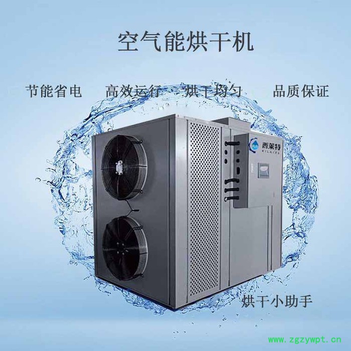 西莱特XLT-145YT  甘肃冬虫夏草烘干机工艺 冬虫夏草干燥设备**图3