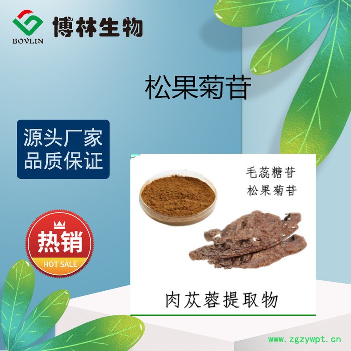 松果菊苷30% 肉苁蓉提取物  肉苁蓉总苷80% 肉苁蓉各种规格 松果菊苷纯粉图5