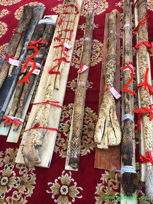 阿拉善肉苁蓉 肉苁蓉 油苁蓉价格 阿拉善肉苁蓉 肉苁蓉功效和作用图2