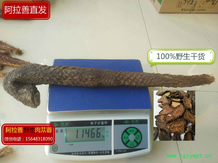 阿拉善油苁蓉 锁阳 油苁蓉 肉苁蓉泡酒配方 肉苁蓉功效和作用图2