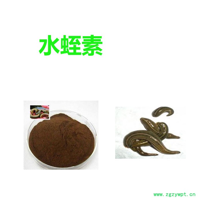 甘肃斯诺特 水蛭素   量大从优  水蛭提取物图4