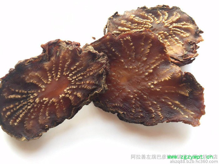 阿拉善肉苁蓉 肉苁蓉 阿拉善肉苁蓉 肉苁蓉功效和作用图2