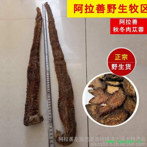 阿拉善肉苁蓉 肉苁蓉 阿拉善肉苁蓉 肉苁蓉功效和作用图4