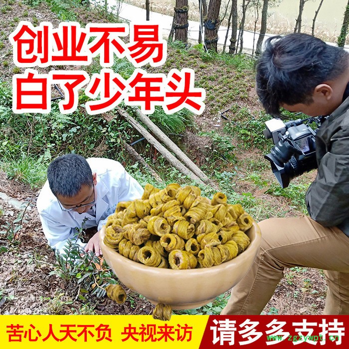 石斛礼盒霍山铁皮石斛枫斗粉超细石斛粉图3