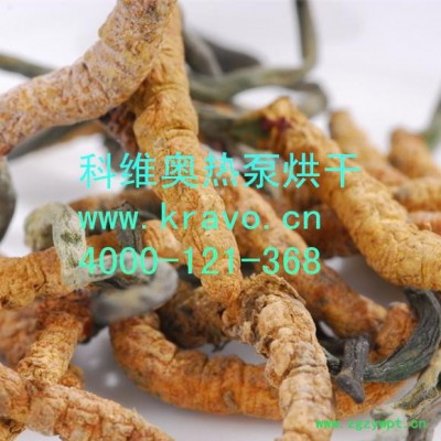 供应冬虫夏草烘干机 冬虫夏草烘干箱 冬虫夏草烘干设备 冬虫夏草烘干