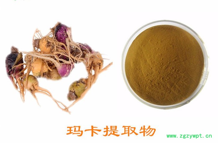 玛卡提取物  2%芥子油甙 抗疲劳恢复精力 增加精子提升质量图2