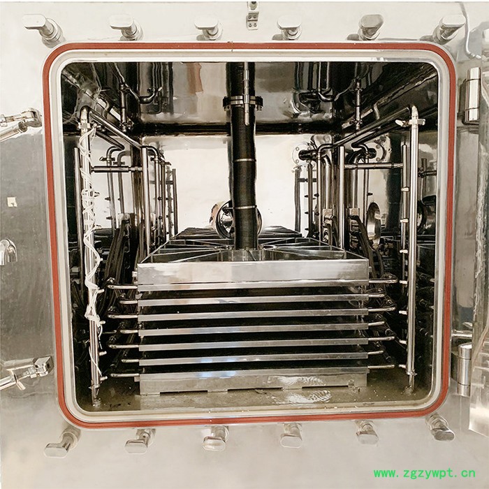 冷冻干燥机 冬虫夏草冻干机 果蔬冻干机 冻干设备图4