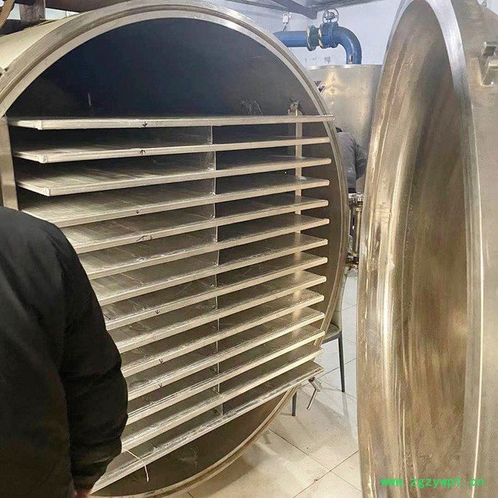 冷冻干燥机 冬虫夏草冻干机 果蔬冻干机 冻干设备图3