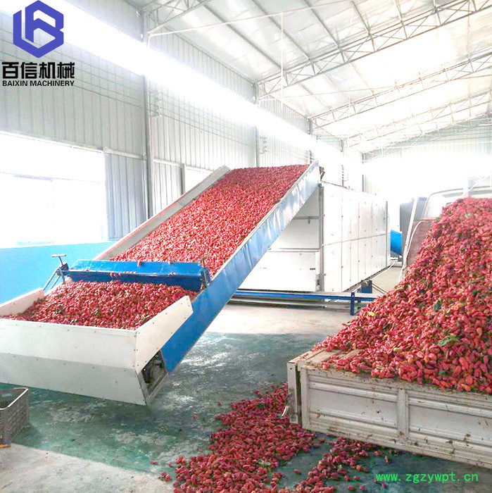 河南玛卡烘干机 河南百信机械玛卡烘干机 河南百信机械玛卡烘干设备图4