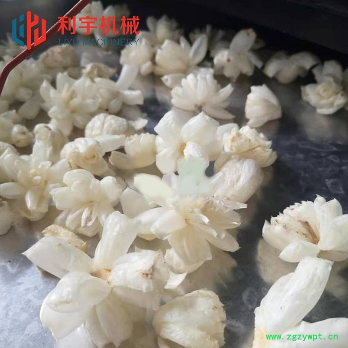 芒果低温冻干机 广东石斛冻干设备 低温冻干机厂家图6