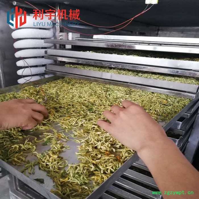 芒果低温冻干机 广东石斛冻干设备 低温冻干机厂家图3