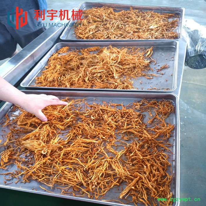 芒果低温冻干机 广东石斛冻干设备 低温冻干机厂家图5