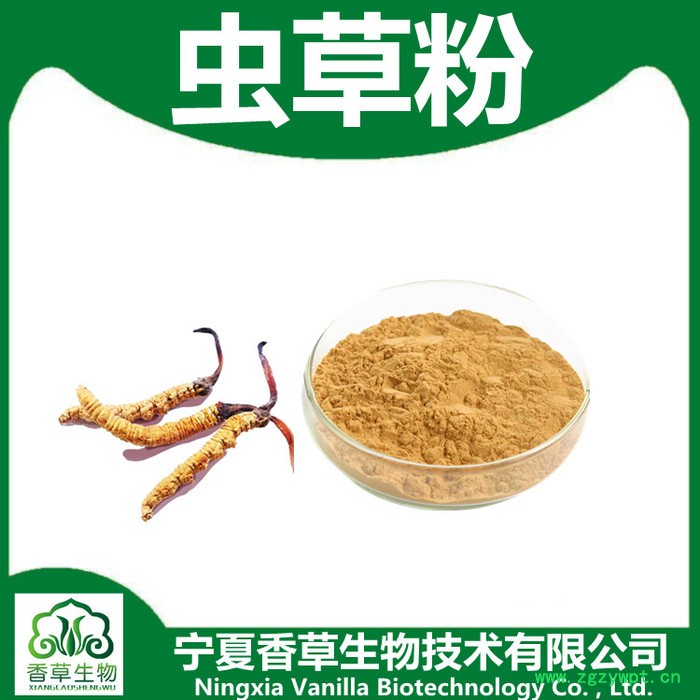 虫草粉98%价格 香草生物供应冬虫夏草提取物 虫草提取物水提醇提图2