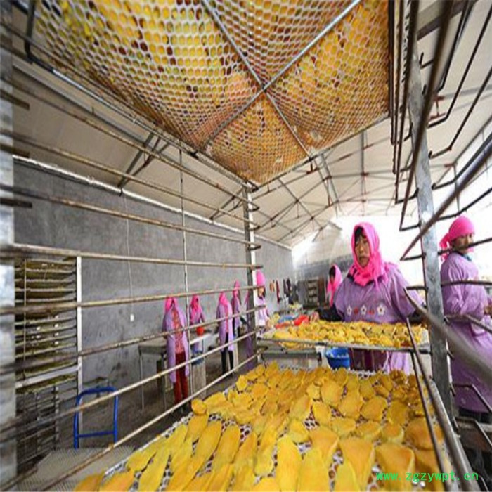 冬虫夏草烘干机 烘房厂家 西安圣达SD-RB-8P 空气能烘干设备图4