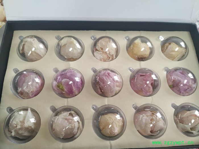 石斛烘干机 烘房厂家 西安圣达SD-RB-8P 空气能烘干设备图2