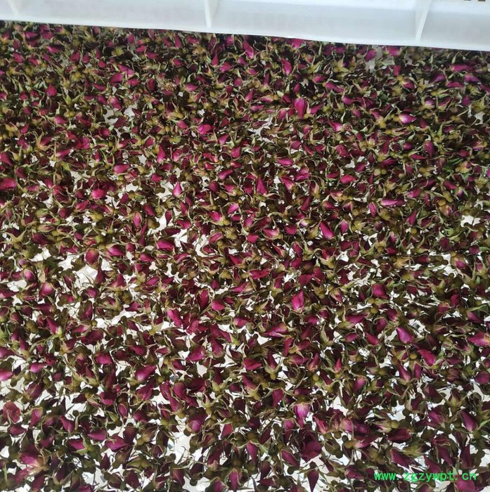 石斛烘干机 烘房厂家 西安圣达SD-RB-8P 空气能烘干设备图4