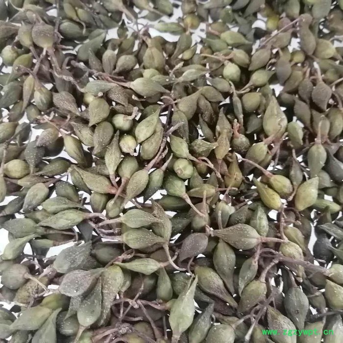 石斛烘干机 烘房厂家 西安圣达SD-RB-8P 空气能烘干设备图3