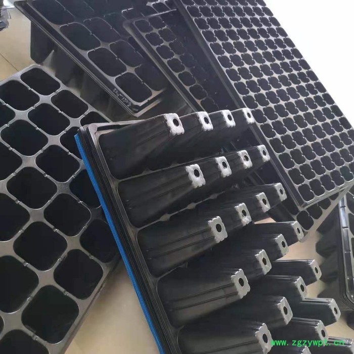 育苗盘 田园方盘 芽苗菜玛咖石斛 祥庆 批发生产图7