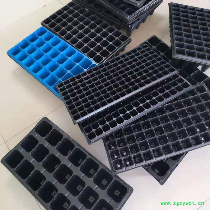 育苗盘 田园方盘 芽苗菜玛咖石斛 祥庆 批发生产图3