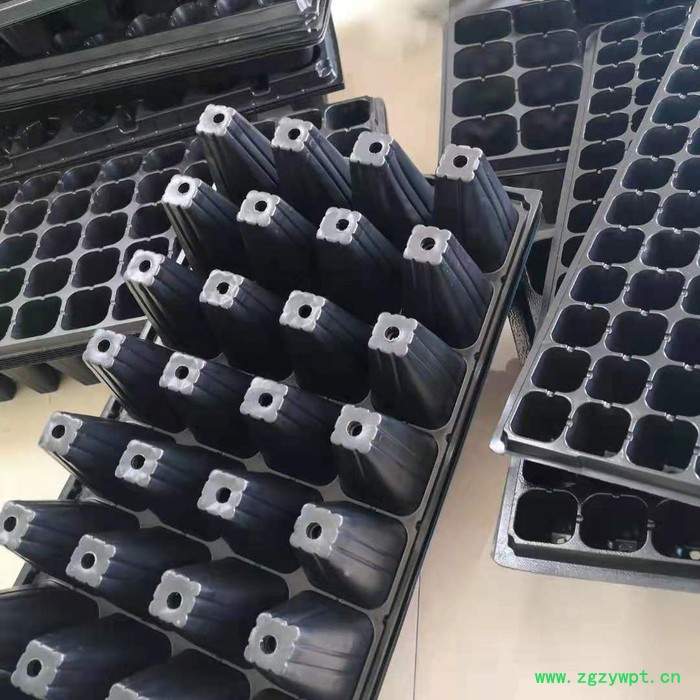 育苗盘 田园方盘 芽苗菜玛咖石斛 祥庆 批发生产图5