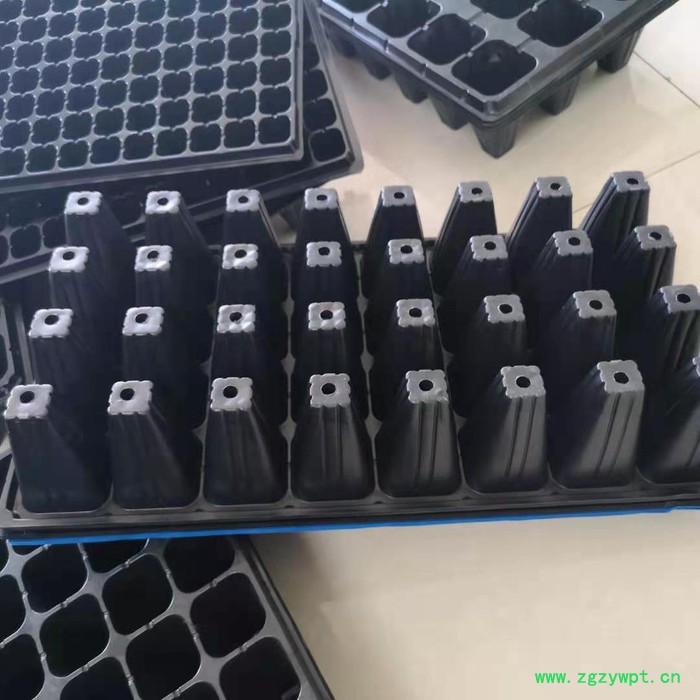 育苗盘 田园方盘 芽苗菜玛咖石斛 祥庆 批发生产图6