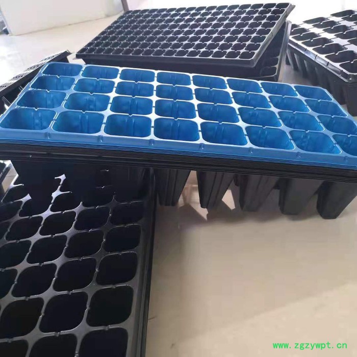 育苗盘 田园方盘 芽苗菜玛咖石斛 祥庆 批发生产图4