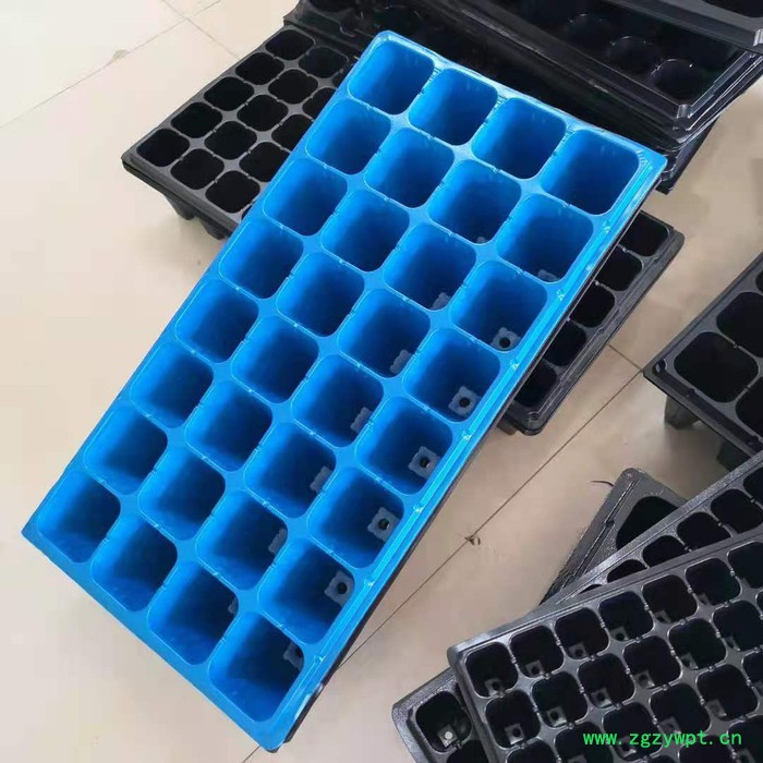 育苗盘 田园方盘 芽苗菜玛咖石斛 祥庆 批发生产图2