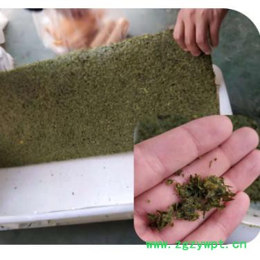 上海冷冻干燥机 白术枸杞虫草人参石斛中药真空低温快速干燥机烘干机厂家 中药浸膏低温快速膨化机 新型冻干机 能耗低一半图4