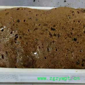 上海冷冻干燥机 白术枸杞虫草人参石斛中药真空低温快速干燥机烘干机厂家 中药浸膏低温快速膨化机 新型冻干机 能耗低一半