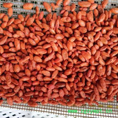 上海冷冻干燥机 白术枸杞虫草人参石斛中药真空低温快速干燥机烘干机厂家 中药浸膏低温快速膨化机 新型冻干机 能耗低一半图3