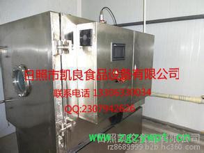 冬虫夏草冻干机图2