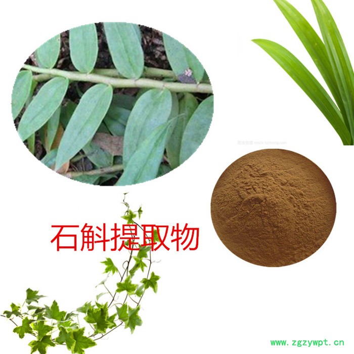 沃特莱斯 石斛提取物10:1 石斛碱  石斛浸膏 石斛粉图5