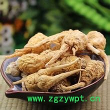 现货厂家**玛卡纯粉 秘鲁玛卡提取物 优价供应图3