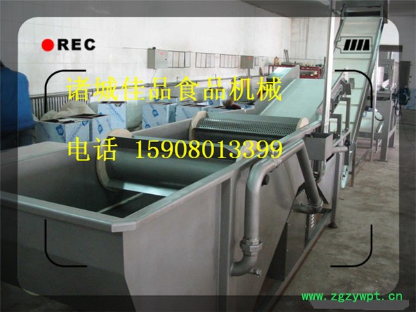 冬虫夏草气泡清洗机 中草药甘草清洗机 直销**价廉性价比高图2