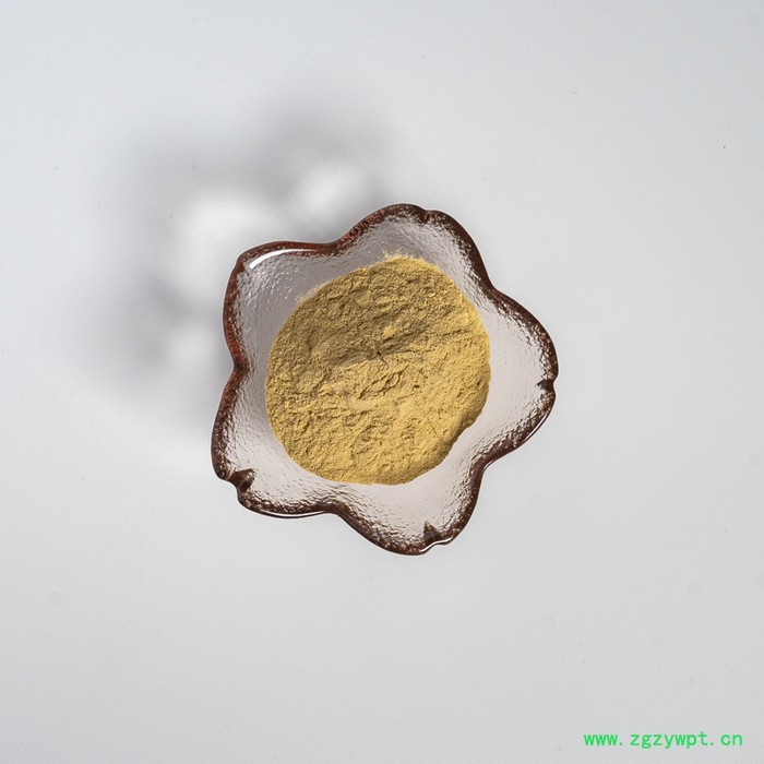 金萃坊厂家现货供应 石斛提取物 铁皮石斛提取物10:1  石斛粉 铁皮石斛萃取物图3