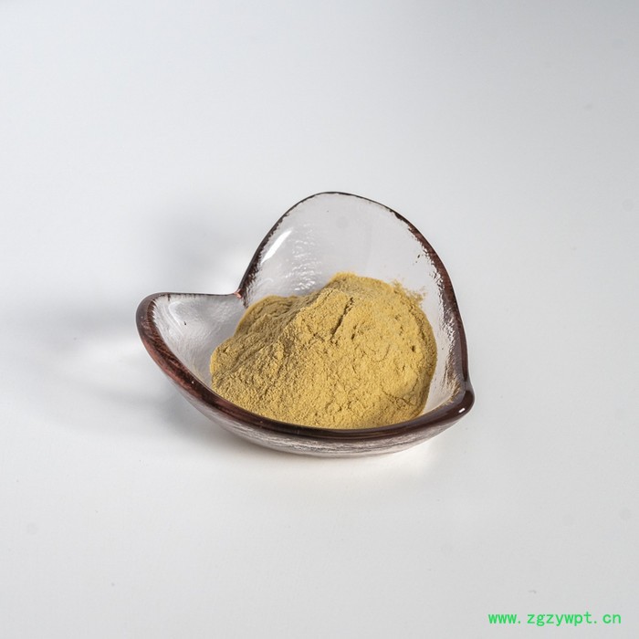 金萃坊厂家现货供应 石斛提取物 铁皮石斛提取物10:1  石斛粉 铁皮石斛萃取物图5