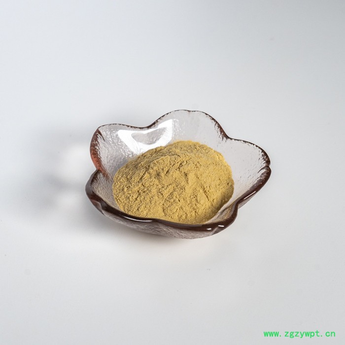 金萃坊厂家现货供应 石斛提取物 铁皮石斛提取物10:1  石斛粉 铁皮石斛萃取物图2
