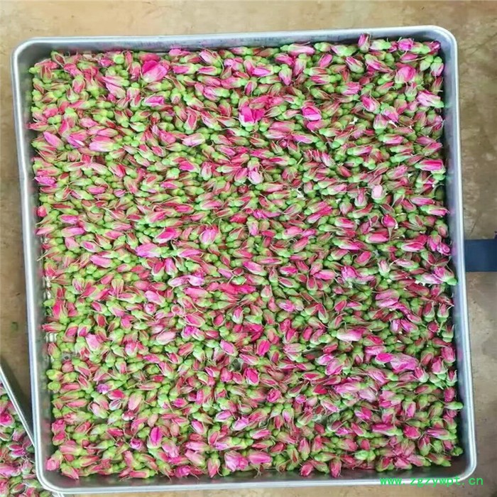 石斛花热风循环烘箱 石斛花烘干机厂家 鼎卓干燥 物美价廉图6