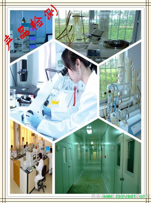 专业玛卡生产厂家 供应玛卡提取物 玛卡供应商图3