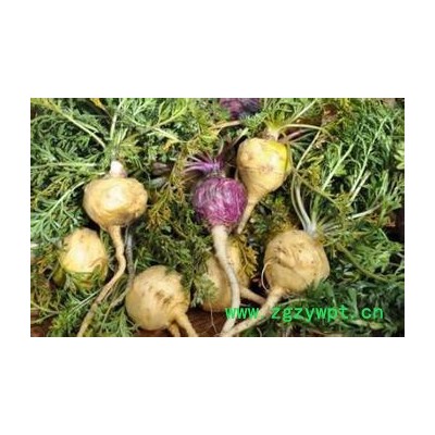 玛卡提取物玛咖提取物玛卡粉玛咖粉