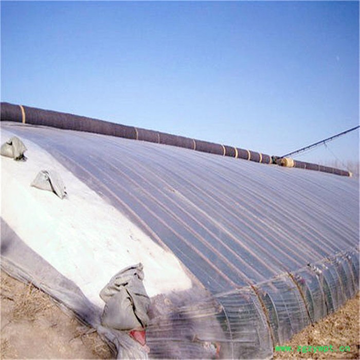 鲤城石斛温室大棚 智能养殖日光温室 旭航图5