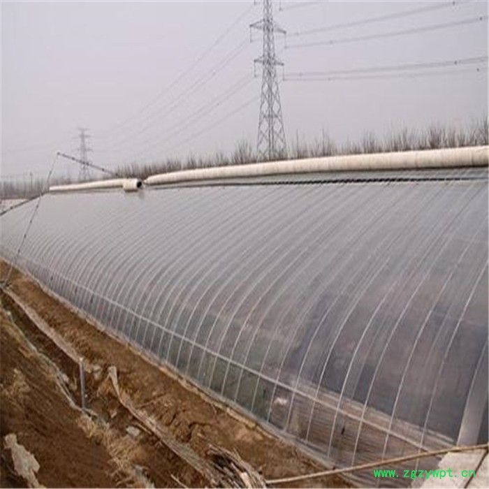 鲤城石斛温室大棚 智能养殖日光温室 旭航图3