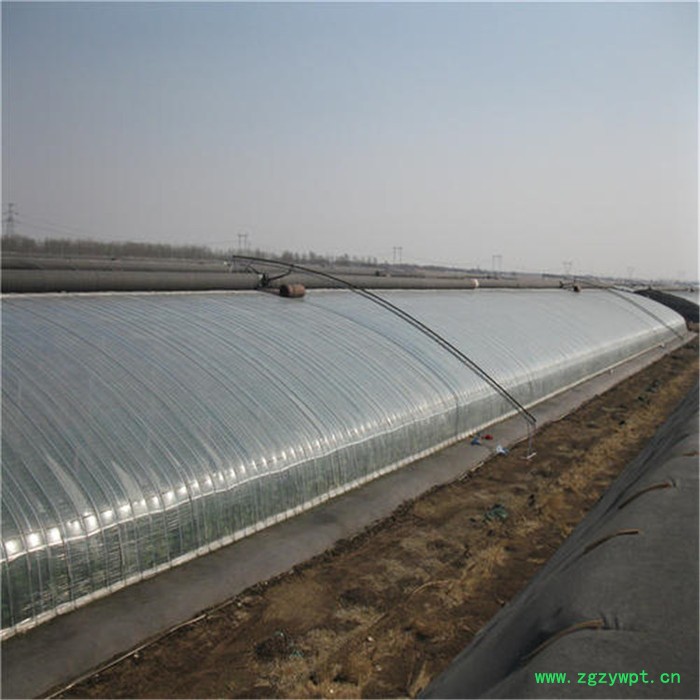 鲤城石斛温室大棚 智能养殖日光温室 旭航图2