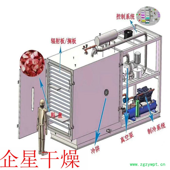 铁皮石斛冻干机 药材真空冻干机 真空冷冻干燥机图5