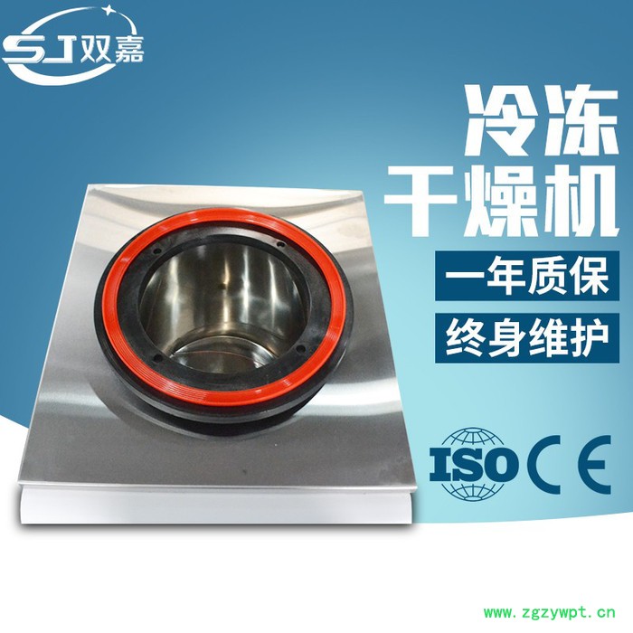 提供冷冻式干燥机，冬虫夏草干燥机 真空冷冻干燥机 冻干机图6