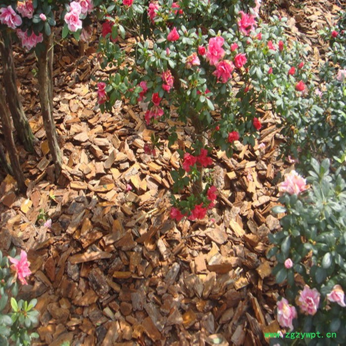 瑞林牌松树皮生物填料价格石斛种植用松树皮松麟生产厂家，现货供应，当天发货图4