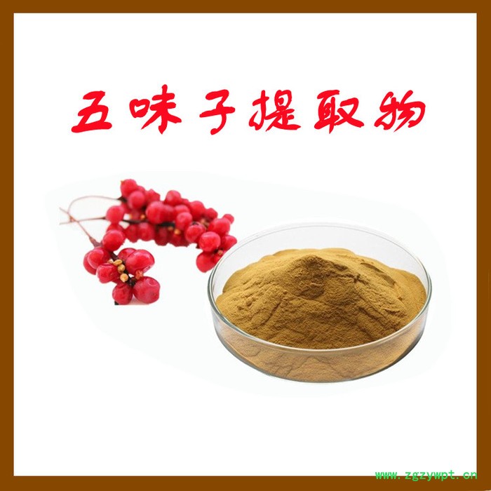 五味子浓缩粉 水溶 可定制 五味子提取物厂家  五味子粉图2