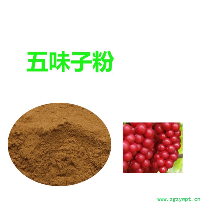 甘肃斯诺特 五味子速溶粉    全国包邮       五味子粉图2