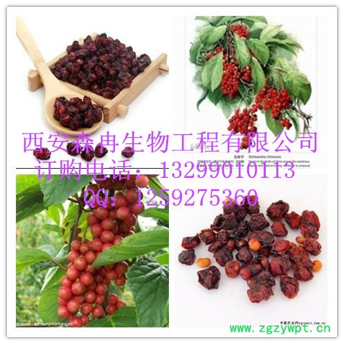 五味子提取物**植物提取物图3
